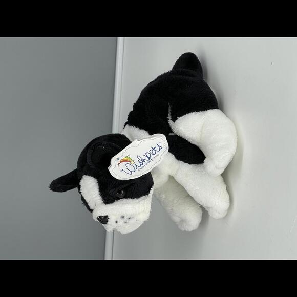 2002 Retired Boston Terrier Puppy Dog Wishpets - Joby - Displayed Only - Rare - Picture 2 of 9